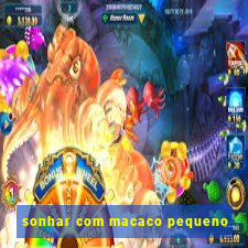 sonhar com macaco pequeno